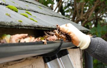 gutter cleaning Towngate